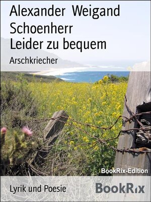 cover image of Leider zu bequem